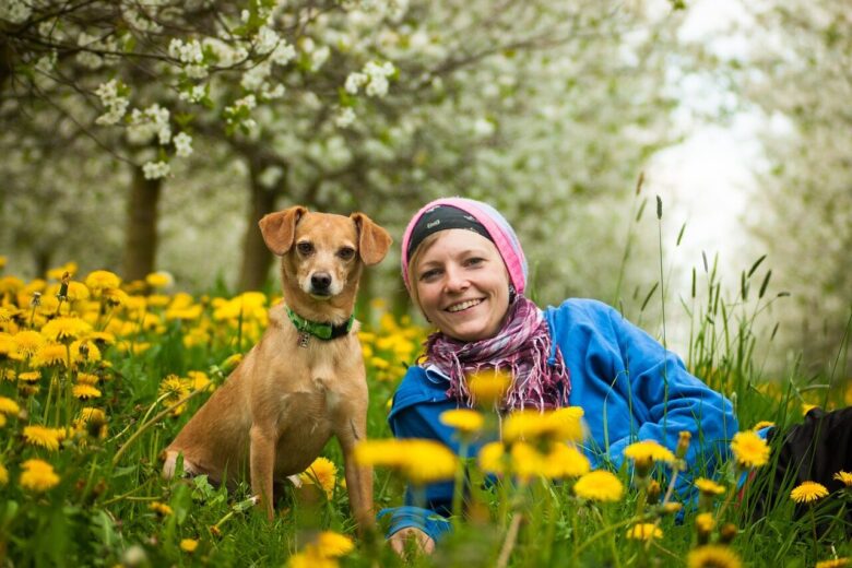 team, woman, dog, human, pet, portrait, animal, a dog-human team, teamwork, together